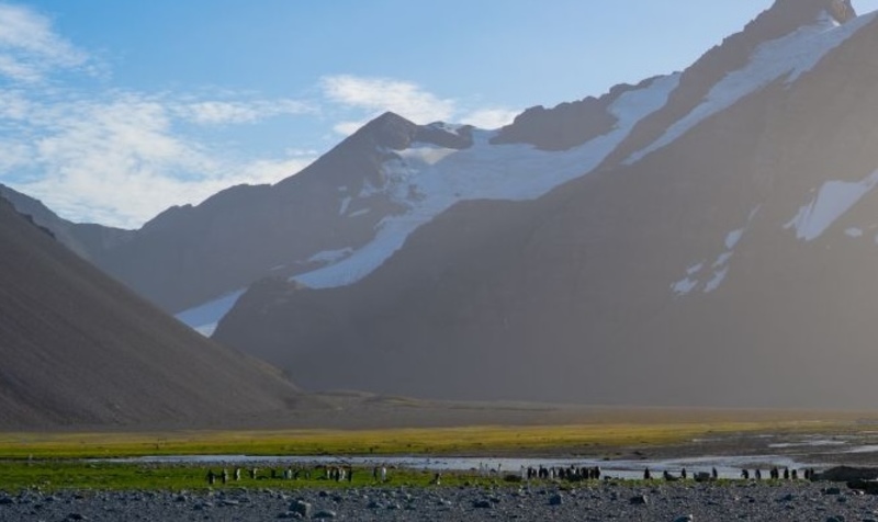 albatros expeditions, antarctica