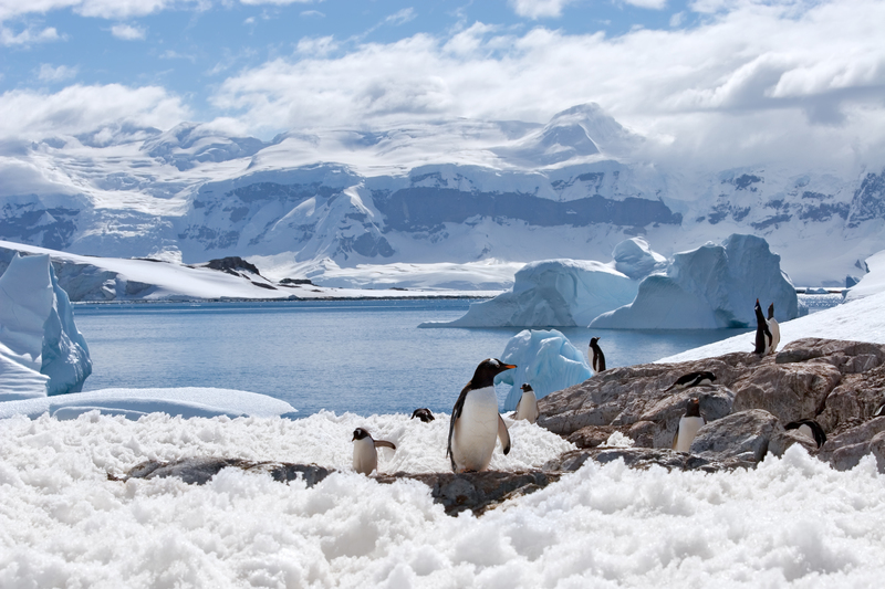 Classic Antarctica, RMS St Helena