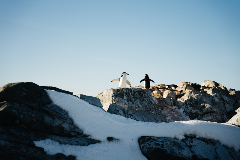 Polar Circle, RMS St Helena