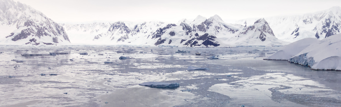 Weddell Sea Discovery | SH Minerva | IExpedition