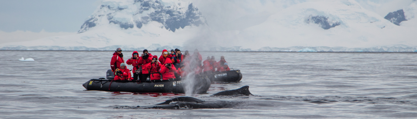 sea spirit antarctica cruise