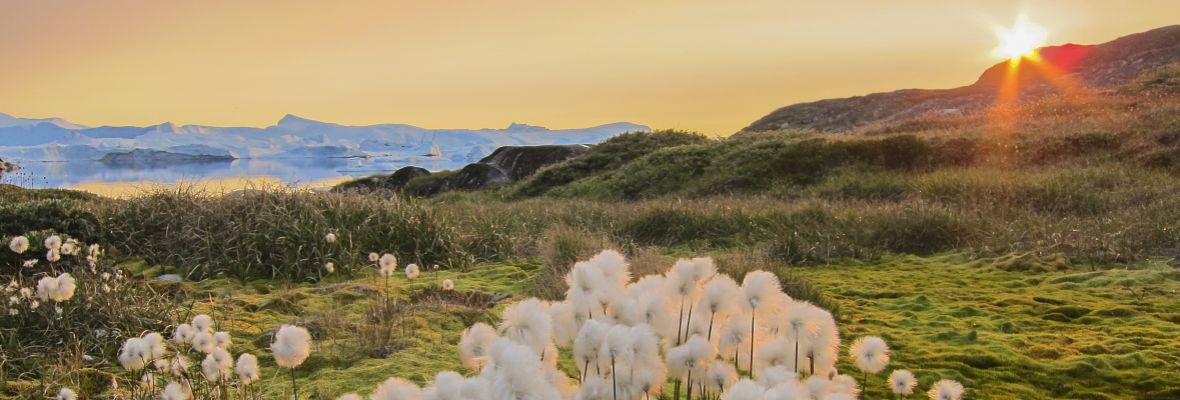Disko Bay | Ocean Victory | IExpedition