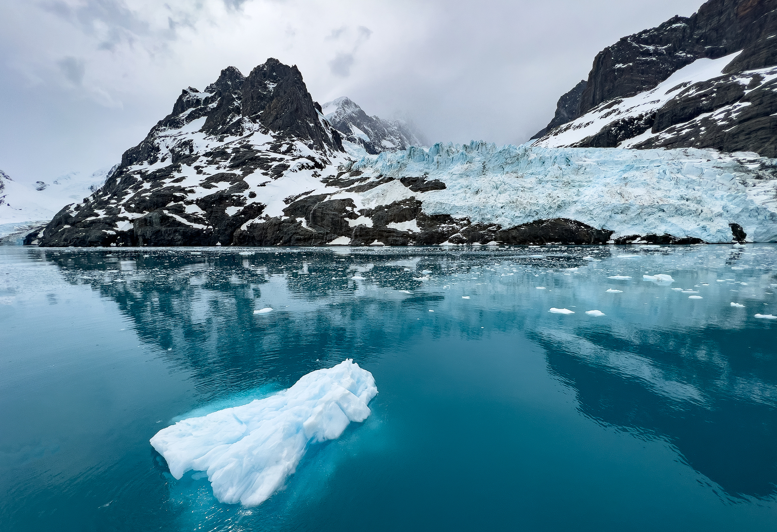 The Falklands, South Georgia & Antarctica | Magellan Discoverer | iExpedition