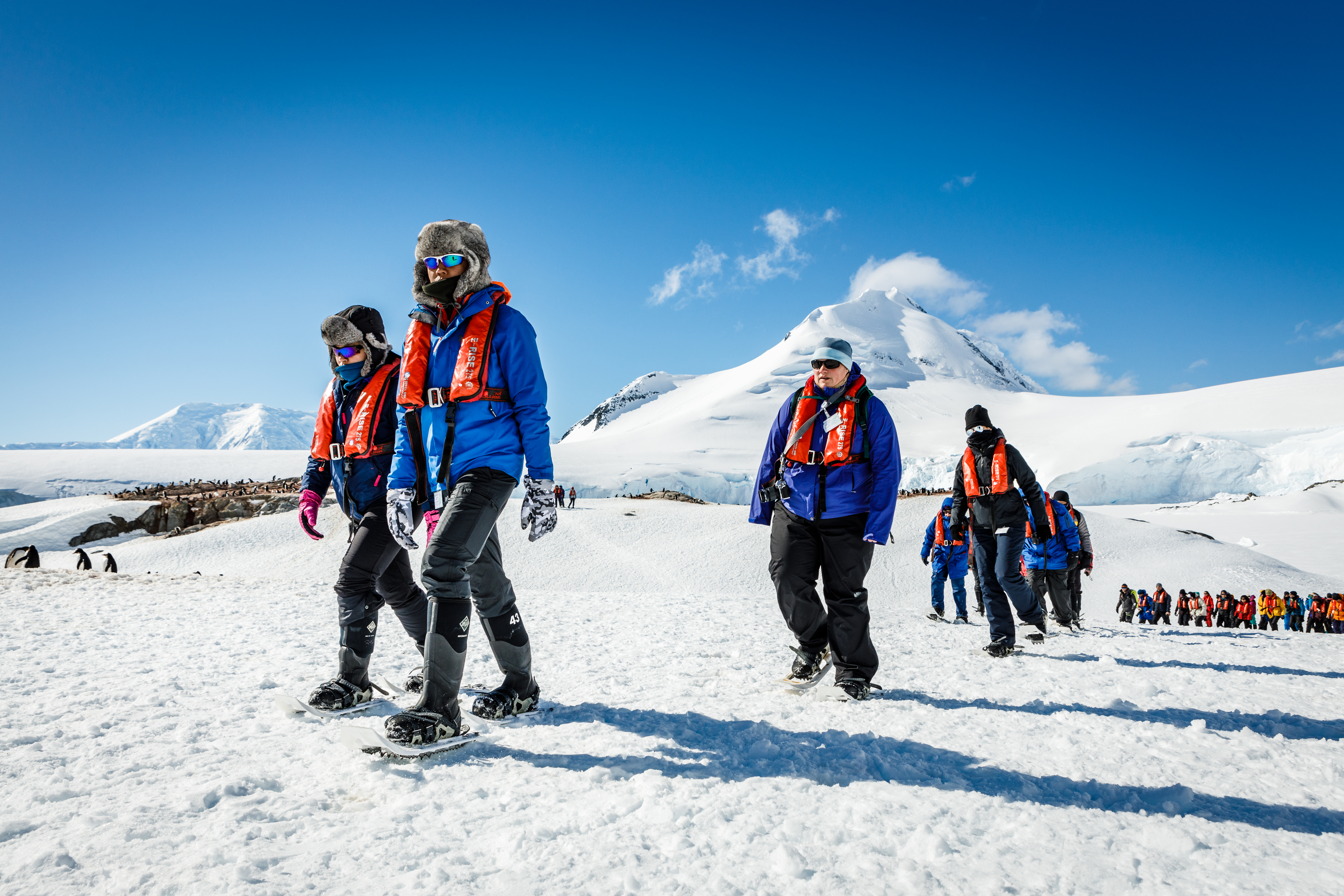 ortelius basecamp antarctica cruise