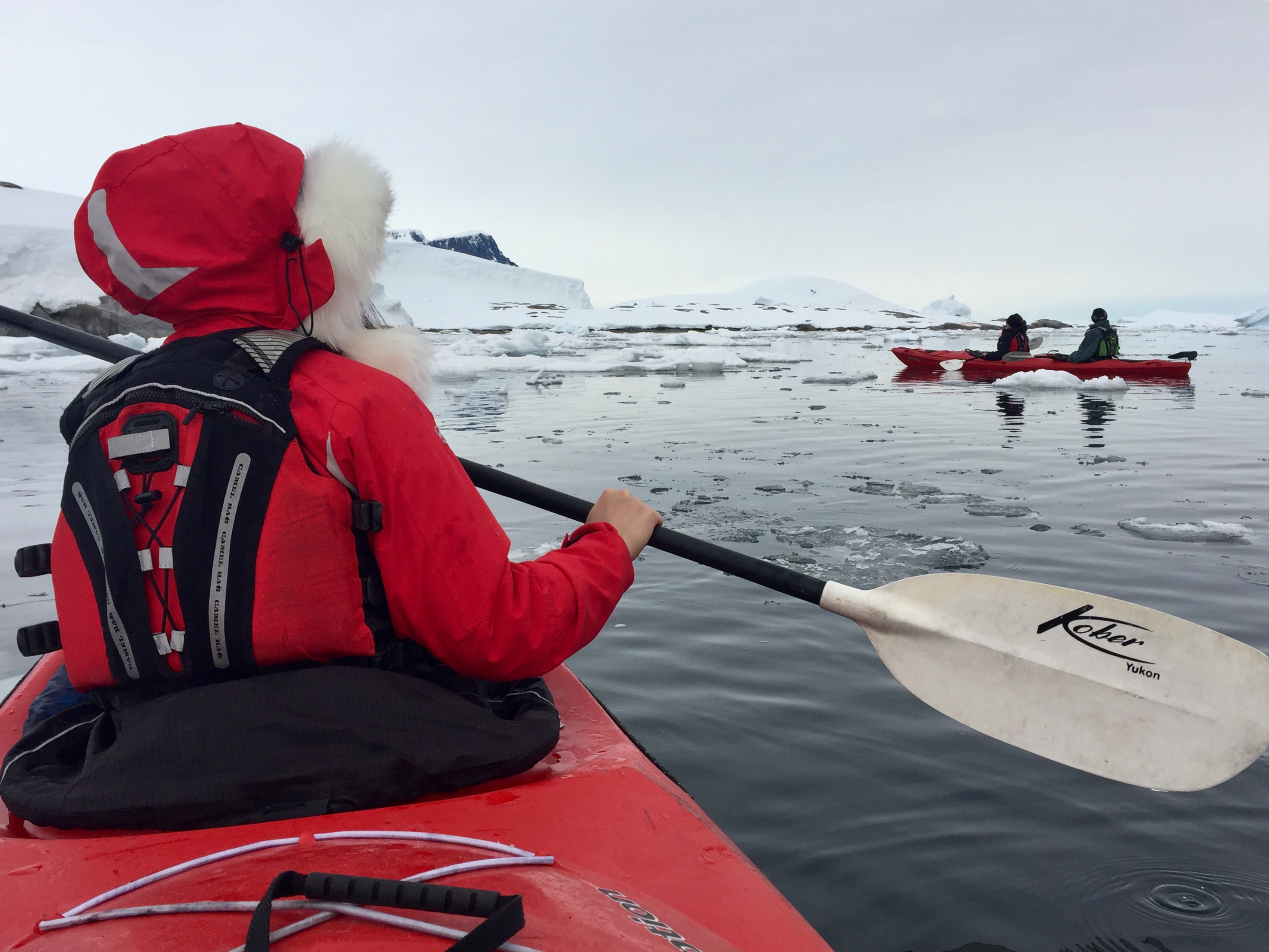 plancius basecamp antarctica cruise