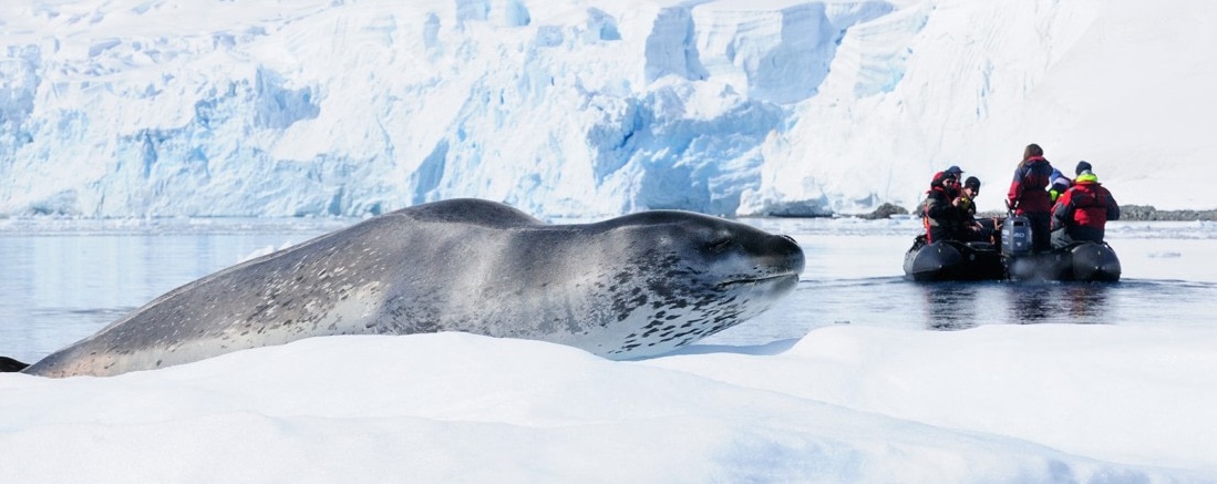 plancius antarctica cruise