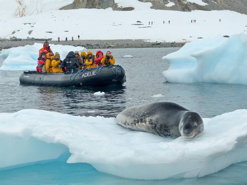 island sky luxury antarctic circle cruise