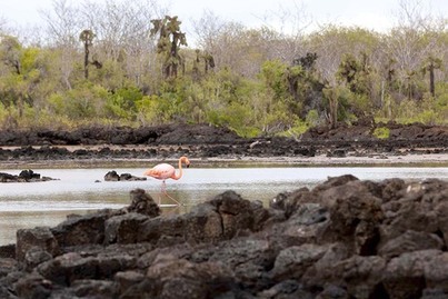West & East Galapagos Expedition Cruise | Aqua Mare | iExpedition