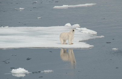 South Greenland Explorer | Plancius | IExpedition