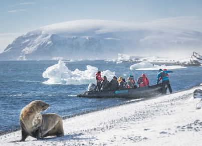 ortelius christmas south georgia and antarctica cruise