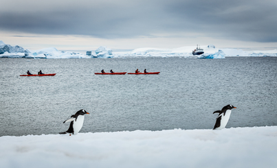 ortelius basecamp antarctica cruise