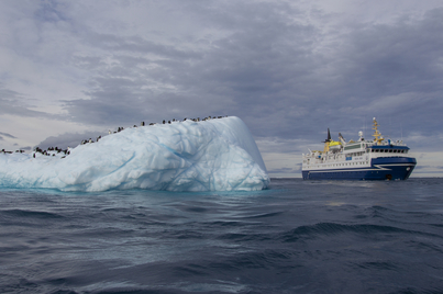 Classic Antarctica | Ocean Nova | IExpedition