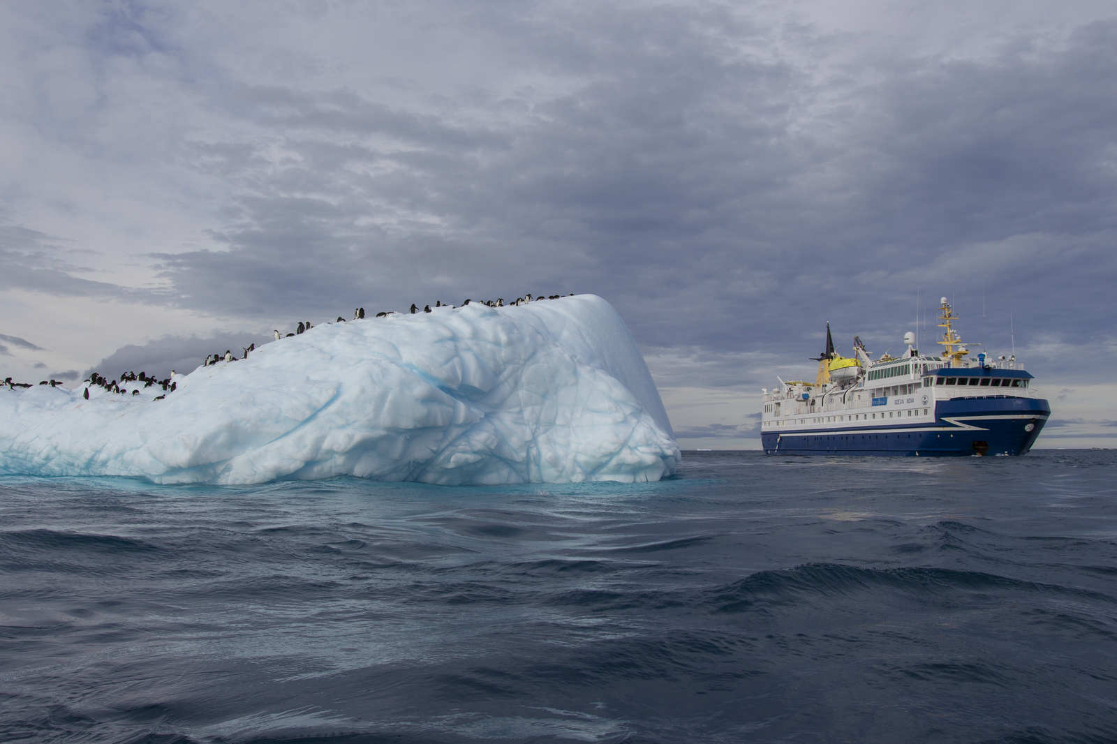 A21 ocn14 ca 2022 23 francisco gomez 0149 %281%29