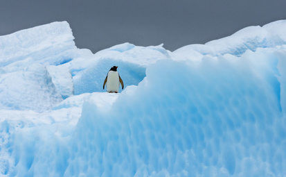 Enterprise antarctique%c2%a9studioponant olivier blaud %281%29