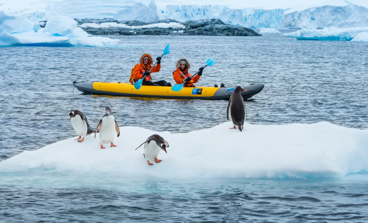 Antarctica cuverville island rlh ant14 14653