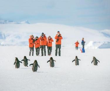 Voyage to Antarctica | Resolution | IExpedition