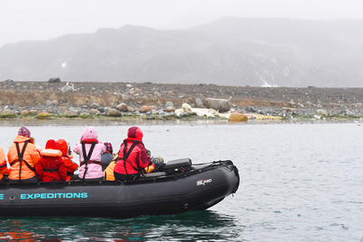 Polar bear cruise | Hondius | iExpedition