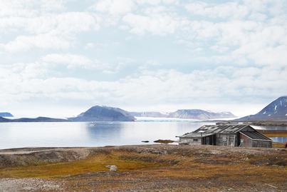 Polar bear cruise | Ortelius | iExpedition