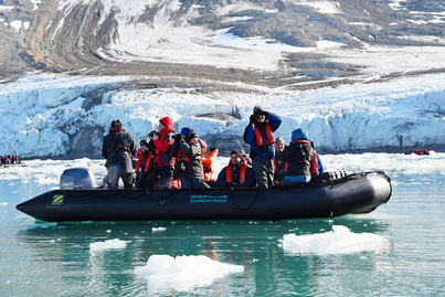 Polar bear cruise | Hondius | iExpedition
