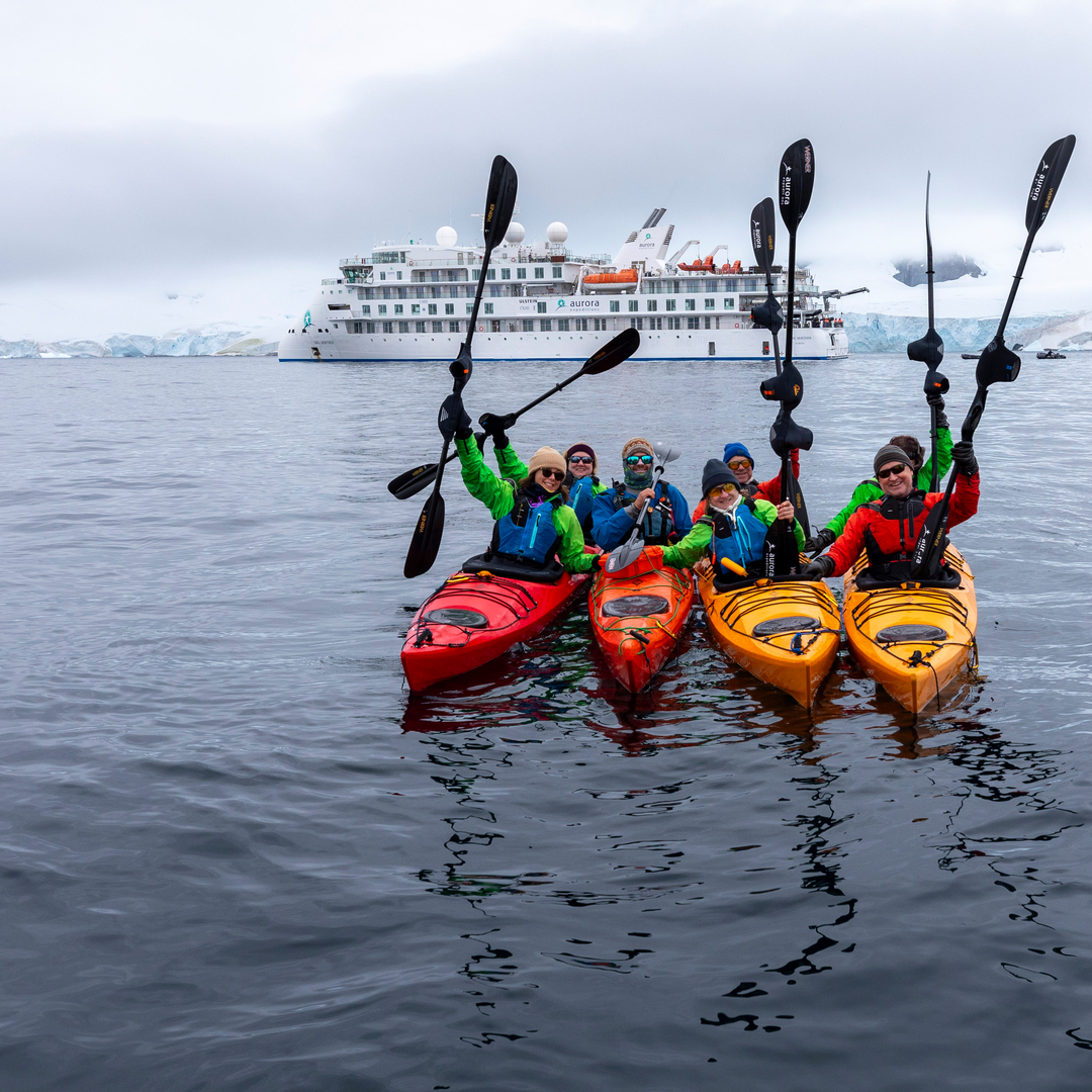 Instagram post kayaking at cuverville island  antarctica adrian wlodarczyk