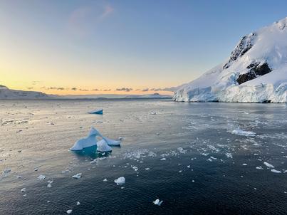 Taste of Antarctica | Greg Mortimer | iExpedition