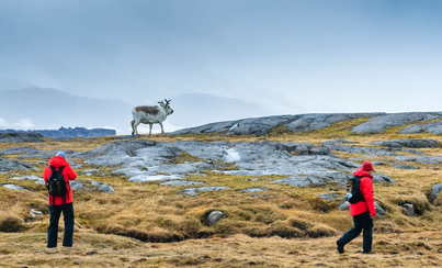 Svalbard: In Search of Iconic Arctic Wildlife | Resolution | IExpedition