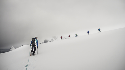 plancius basecamp antarctica cruise