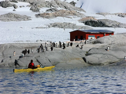 Antarctic Express | Ocean Explorer | iExpedition