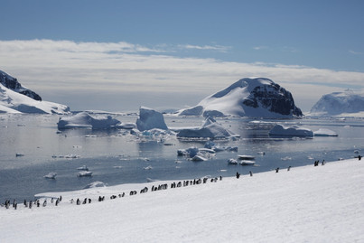 Antarctica - Discovery and learning | Plancius | iExpedition