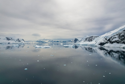 Antarctic Peninsula Discovery | SH Diana | IExpedition