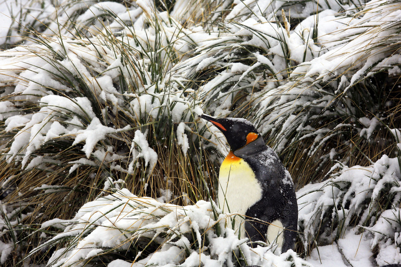 Filip kulisev  z2b6977