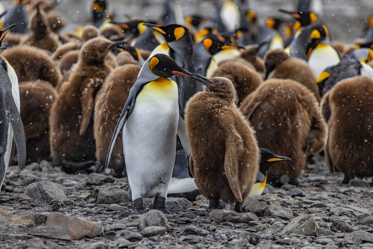 Ovi01 fortuna bay wenyanwangqiu bi 0m2a4113 1