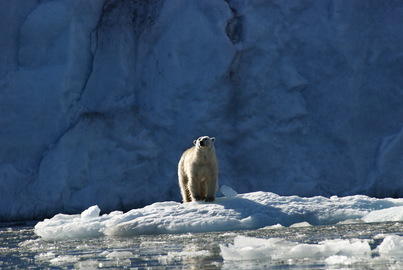 Spitsbergen cruise | Sea Spirit | iExpedition