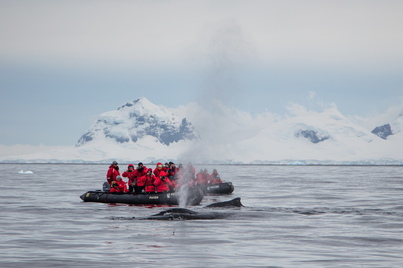 sea spirit antarctica cruise