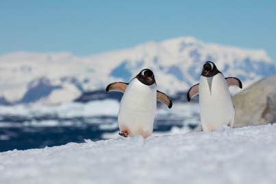 sea spirit antarctica circle cruise