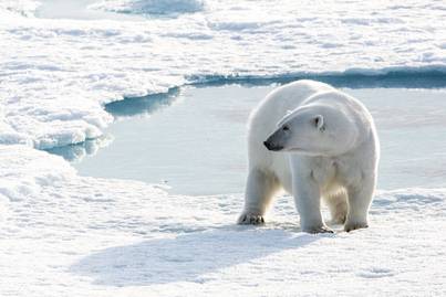 Northwest Passage | Ultramarine | IExpedition