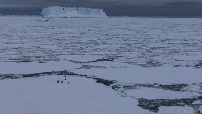 Weddell Sea Explorer | Plancius | IExpedition